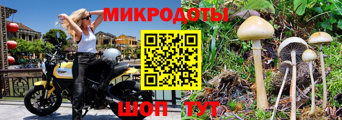 где продают наркотики  Вход с VPN  Камышин  Псилоцибиновые грибы Psilocybe 