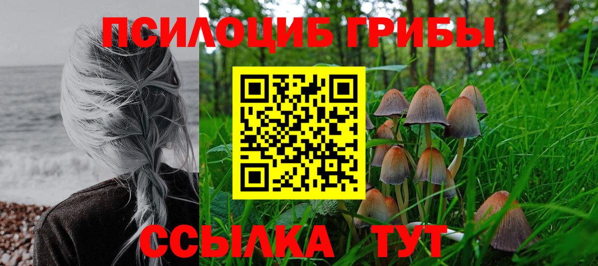 Галлюциногенные грибы мухоморы Камышин